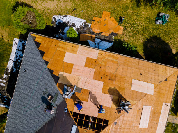 Best Metal Roofing Contractor  in Harb, OR