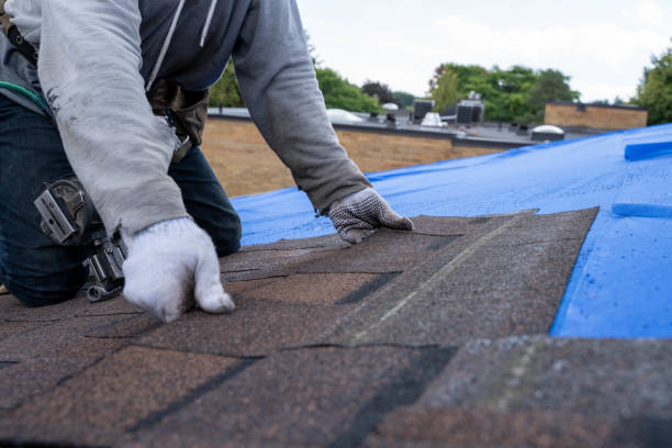 Best Storm Damage Roof Repair  in Harb, OR