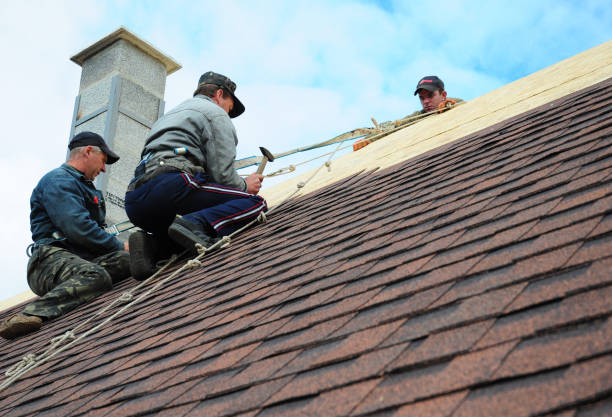 Best Roof Repair Services  in Harb, OR